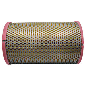 Air Filter Polaris Ranger XP1000 /1000 XP Crew OEM 7082265