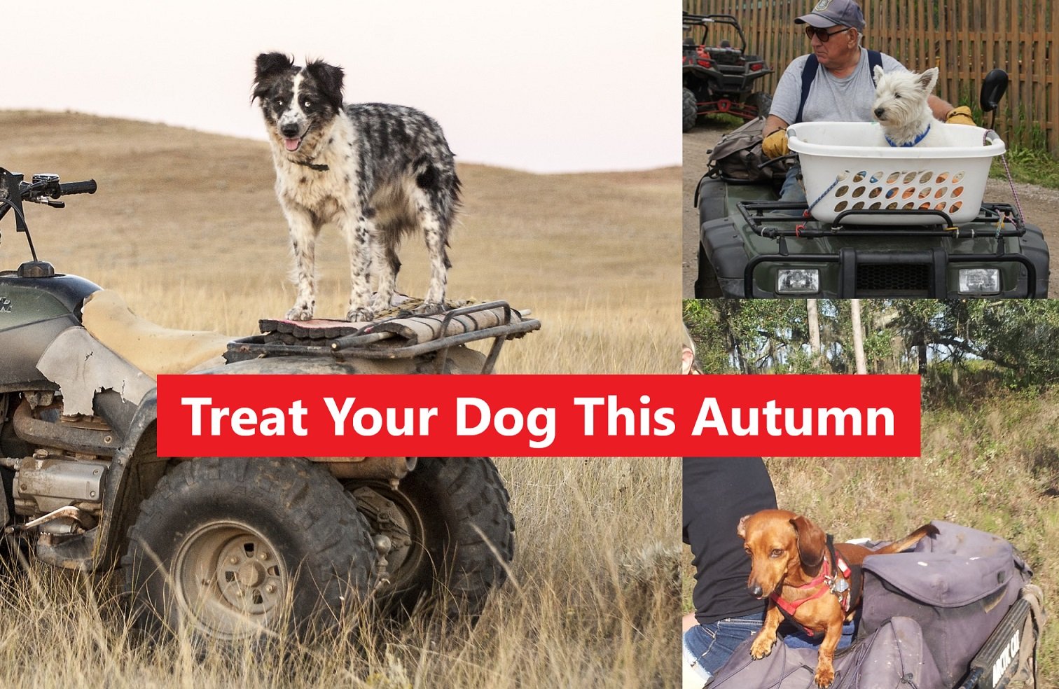 ATV Carrier Mounted Dog Mat