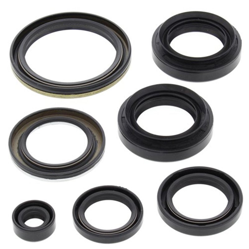 Engine Oil Seal Kit | Suzuki LTA 400 KQ/Eiger  | 2002-15