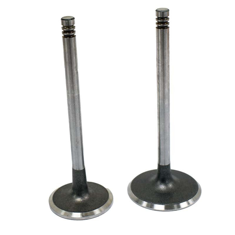 Engine Valve Pair | Can-Am | DS650 00-07