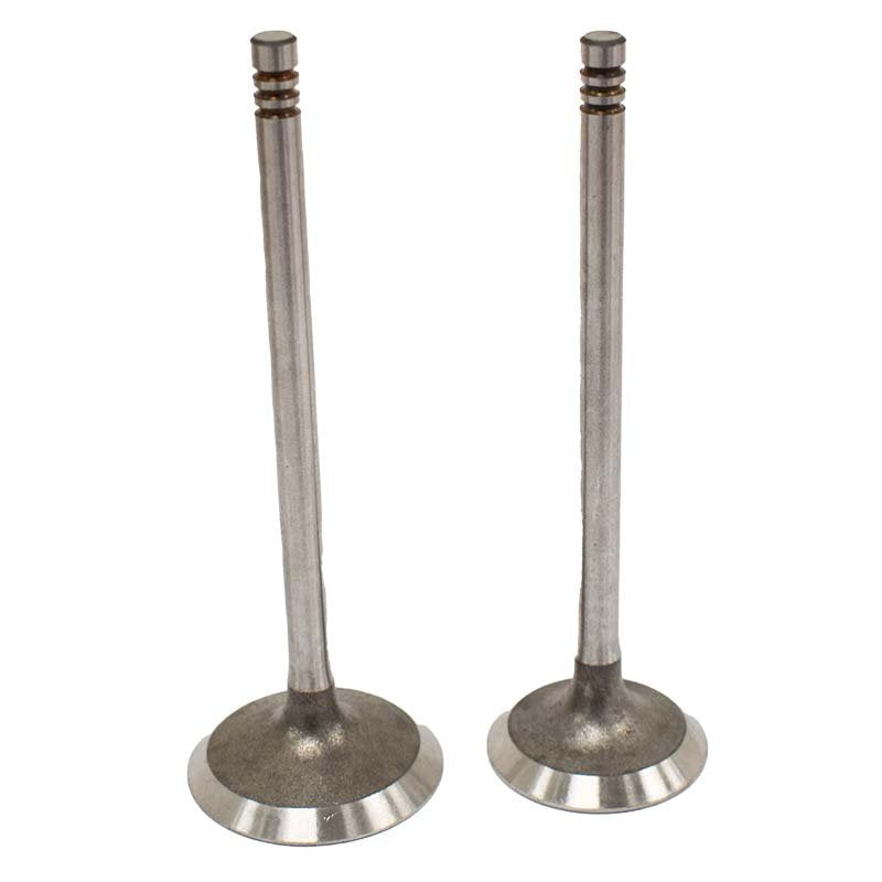 Engine Valve Pair | Can-Am | Outlander 330 400 1000