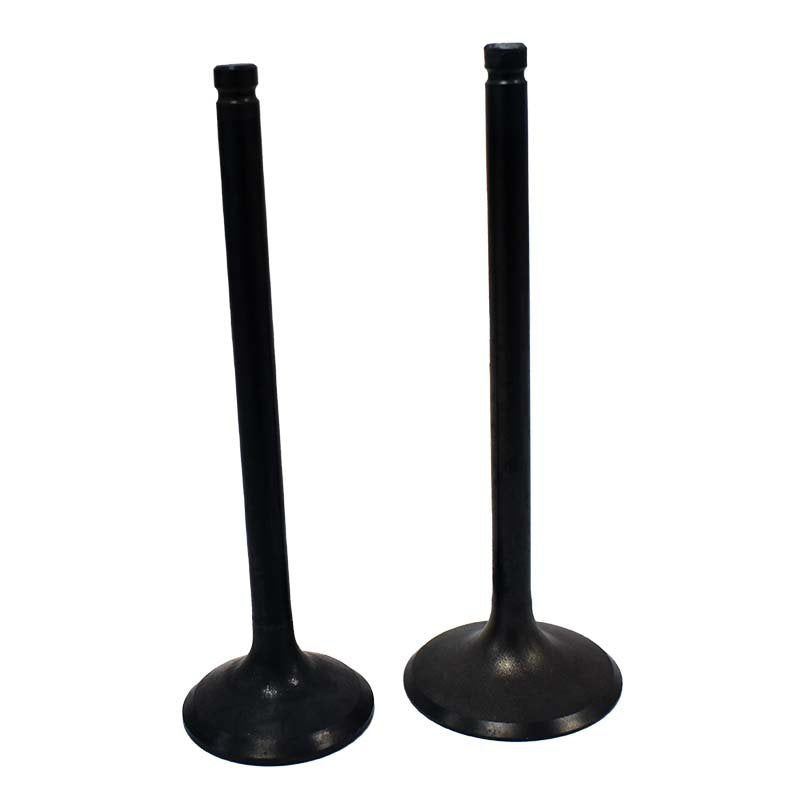 Engine Valve Pair | Honda | TRX200EX 01-08