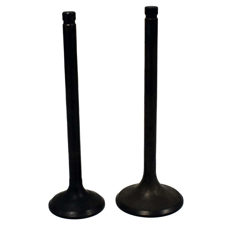 Engine Valve Pair | Honda | TRX200 90-91 / 200D 91-97