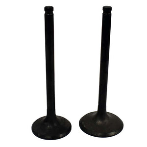 Engine Valve Pair | Honda | TRX250 97-01