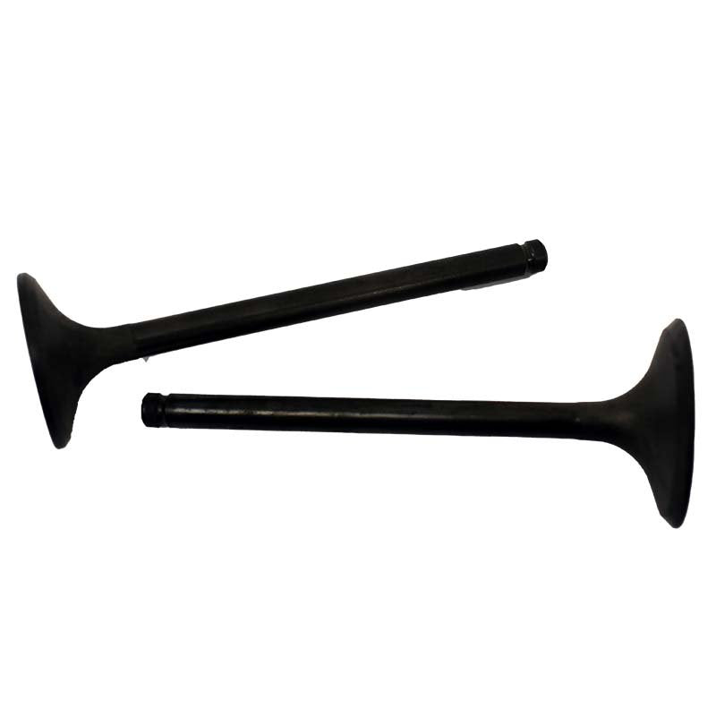Engine Valve Pair | Honda | TRX250 97-01