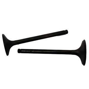 Engine Valve Pair | Honda | TRX250 97-01
