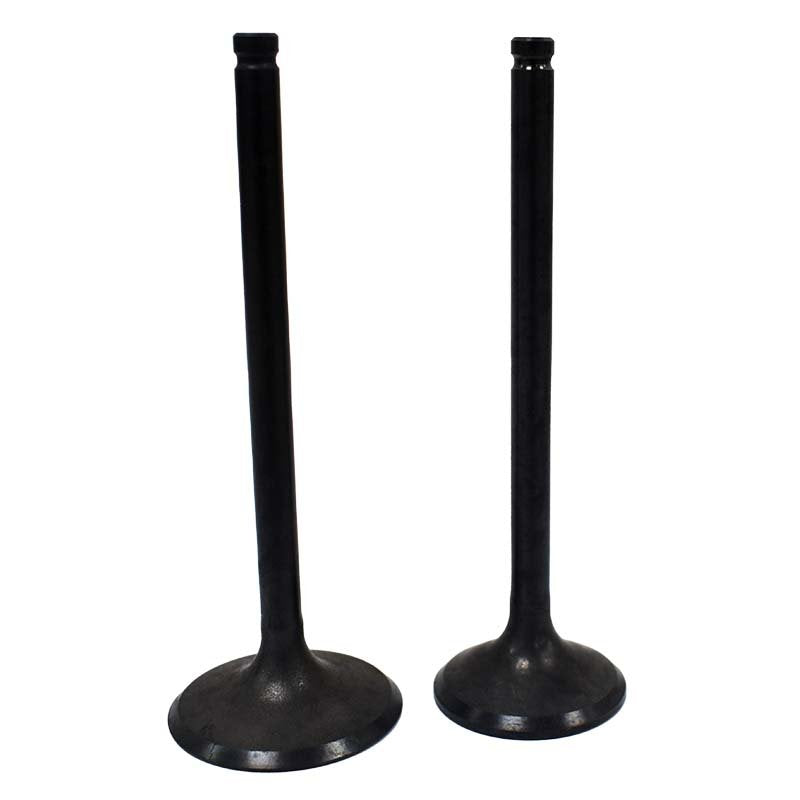 Engine Valve Pair | Honda | TRX250 /TE /TM 02-20