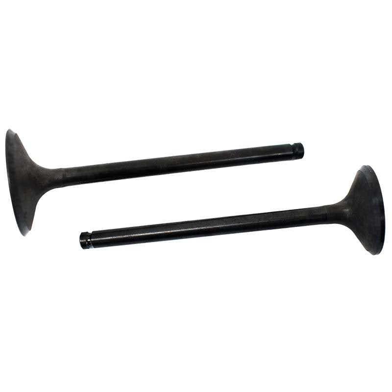 Engine Valve Pair | Honda | TRX250 /TE /TM 02-20