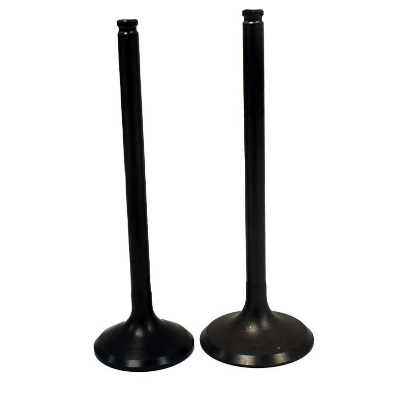 Engine Valve Pair | Honda | TRX300 88-00 /300FW 88-00