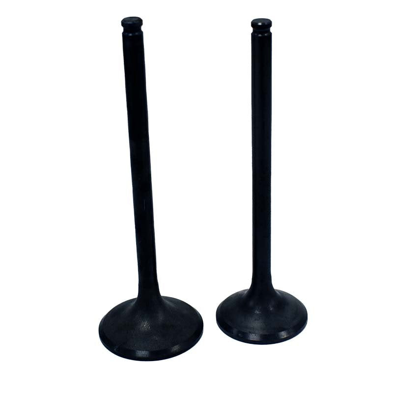 Engine Valve Pair | Honda | TRX350D 86-89