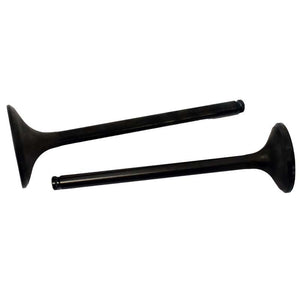 Engine Valve Pair | Honda | TRX350D 86-89