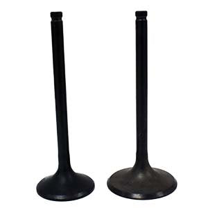 Engine Valve Pair | Honda | TRX350 00-06