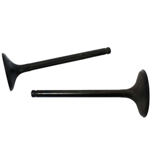 Engine Valve Pair | Honda | TRX350 00-06