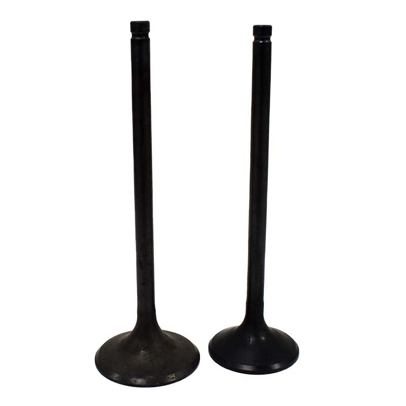 Engine Valve Pair | Honda | TRX400EX /500FA /FGA