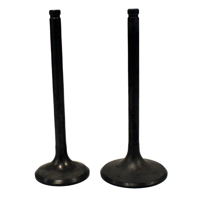 Engine Valve Pair | Honda | TRX400FW 95-03