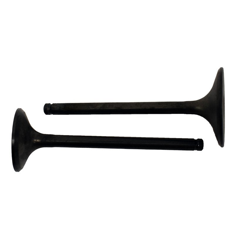 Engine Valve Pair | Honda | TRX400FW 95-03