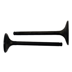 Engine Valve Pair | Honda | TRX400FW 95-03