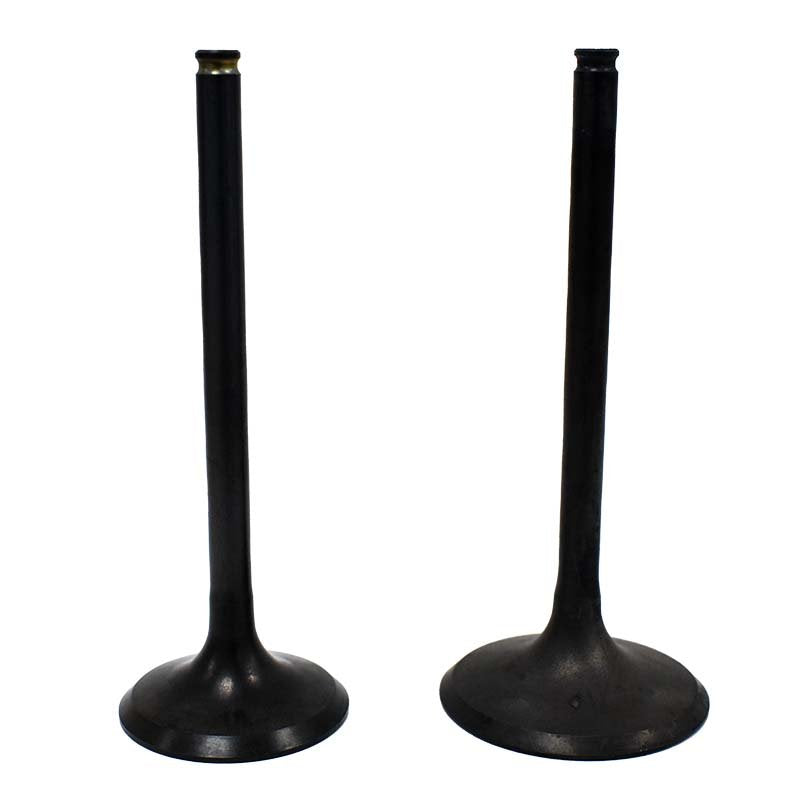 Engine Valve Pair | Honda | TRX450R 04-05