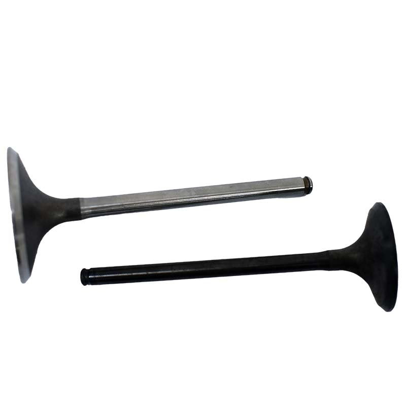 Engine Valve Pair | Honda | TRX450R 06-09