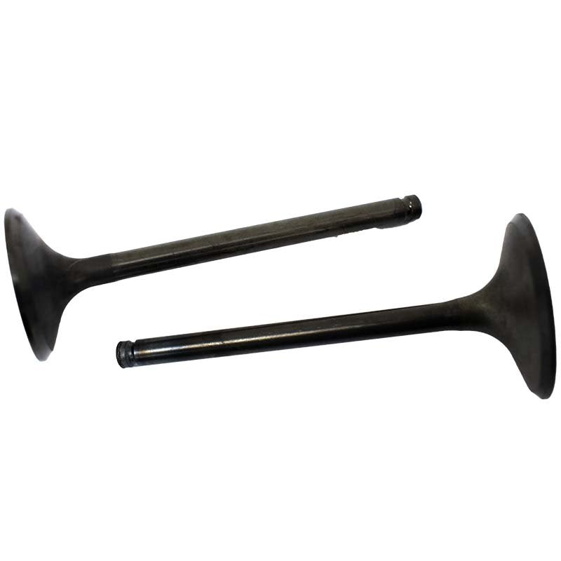 Engine Valve Pair | Honda | TRX450 98-04