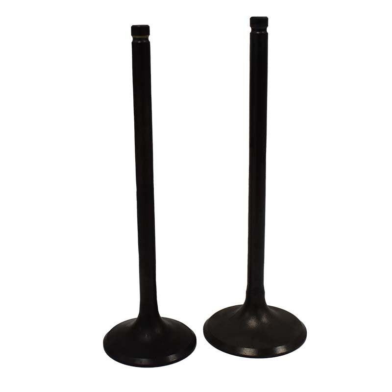 Engine Valve Pair | Honda | TRX650FA /FGA /TRX680FA /FGA