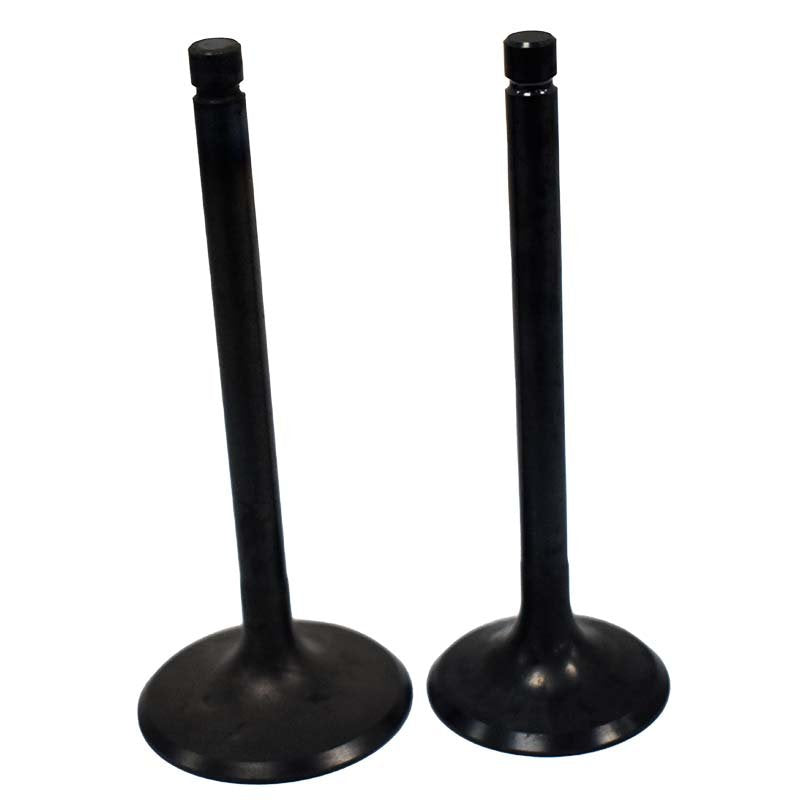 Engine Valve Pair | Kawasaki | KVF360 03-11