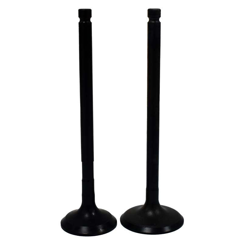 Engine Valve Pair | Polaris | 400 /450 /500 /550