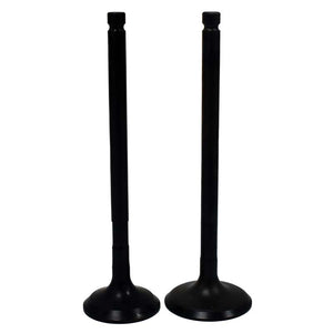 Engine Valve Pair | Polaris | 400 /450 /500 /550
