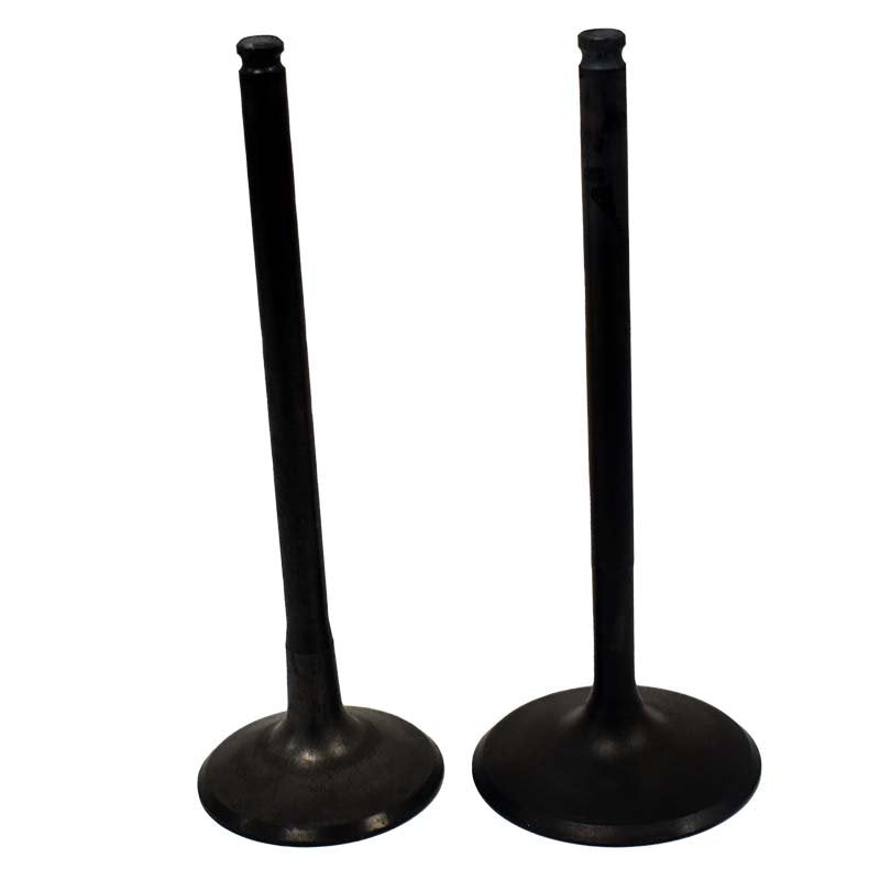 Engine Valve Pair | Polaris | RZR 11-14