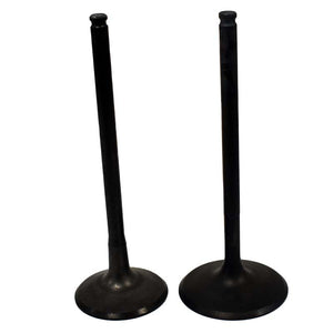 Engine Valve Pair | Polaris | RZR 11-14