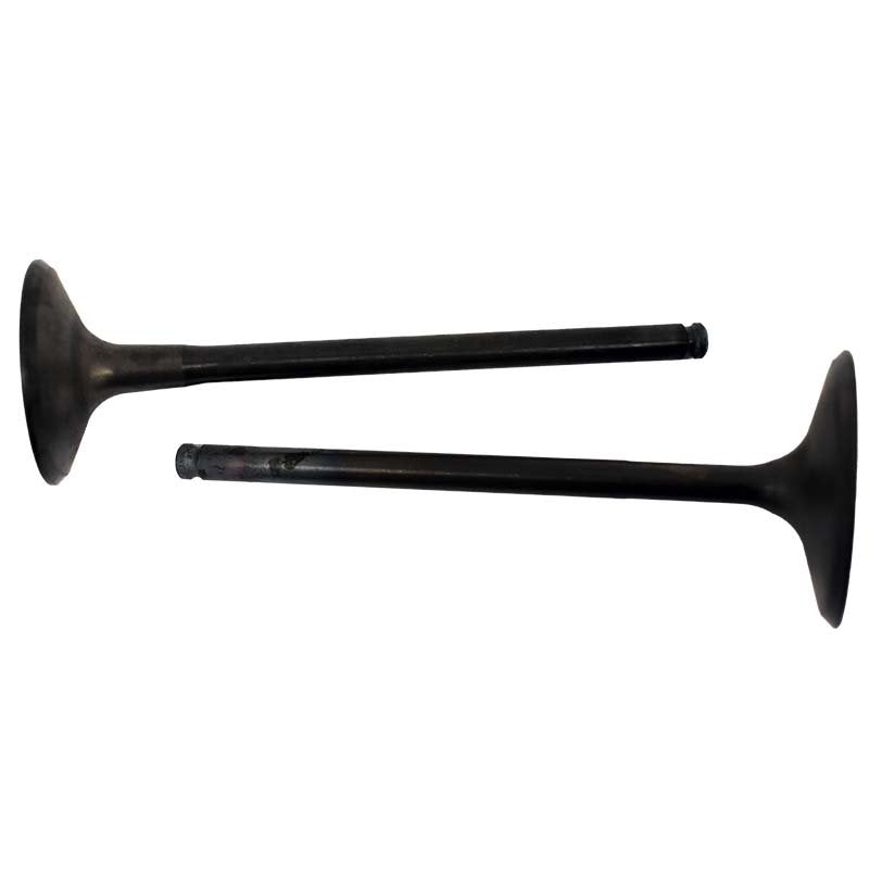 Engine Valve Pair | Polaris | RZR 11-14
