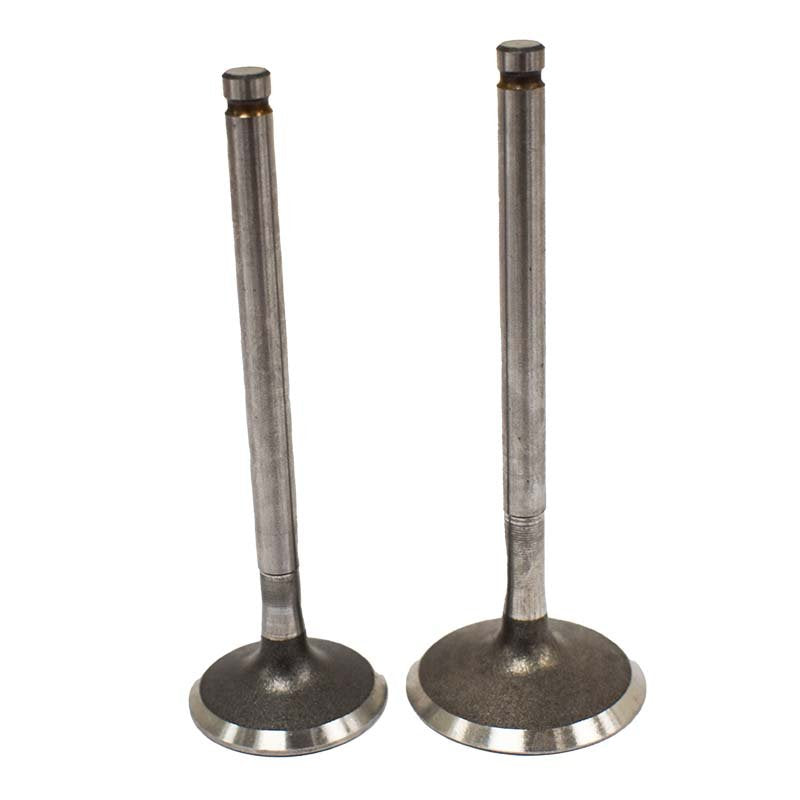 Engine Valve Pair | Polaris | RZR 170