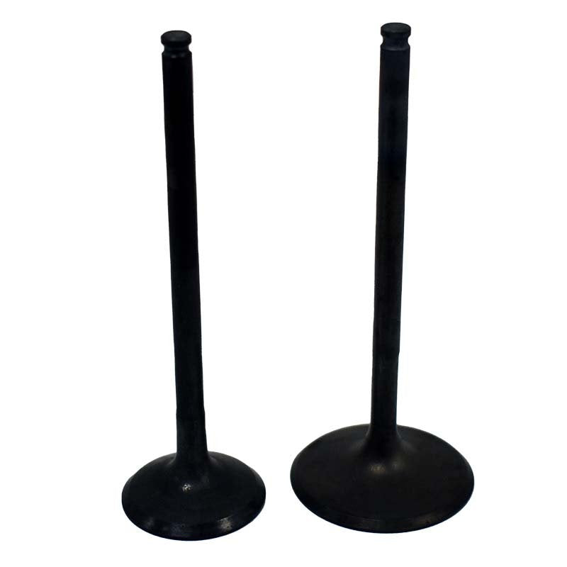 Engine Valve Pair | Polaris | RZR XP TURBO 16-17