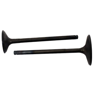 Engine Valve Pair | Polaris | RZR XP TURBO 16-17