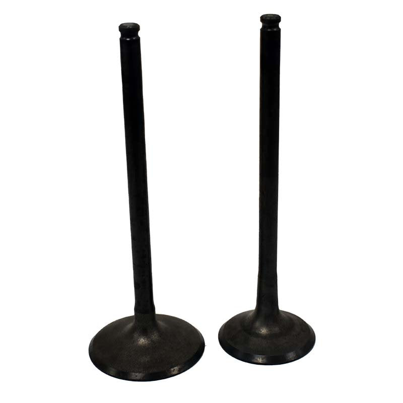 Engine Valve Pair | Polaris | Ranger 900 13-19