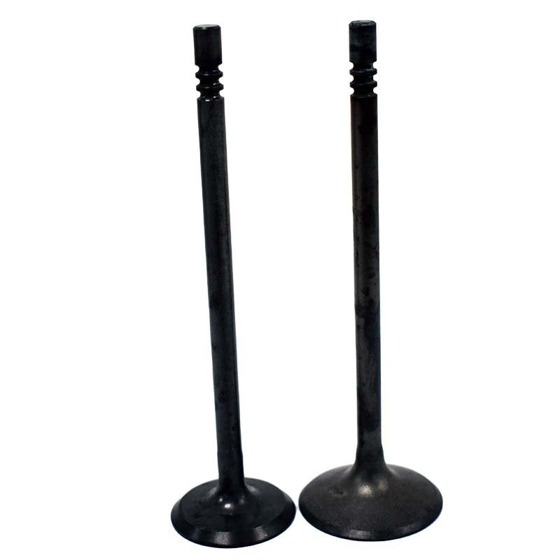Engine Valve Pair | Polaris | Ranger / Sportsman 700 / 800