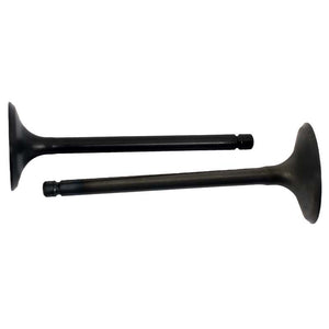 Engine Valve Pair | Polaris | Sportsman 550 09-14