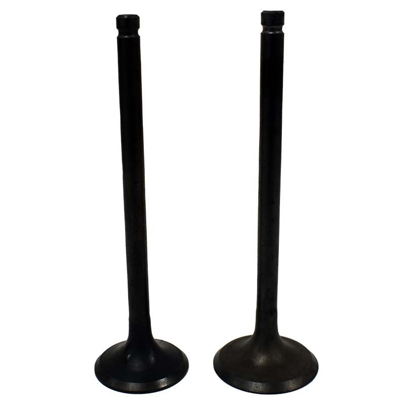 Engine Valve Pair | Suzuki | LTF160E /LTF160 89-01