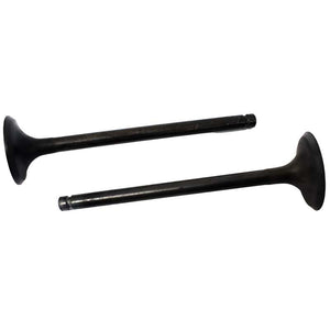 Engine Valve Pair | Suzuki | LTF160E /LTF160 89-01