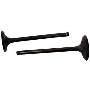 Engine Valve Pair | Suzuki | LTF250 03-22 /LTF Z250 04-09