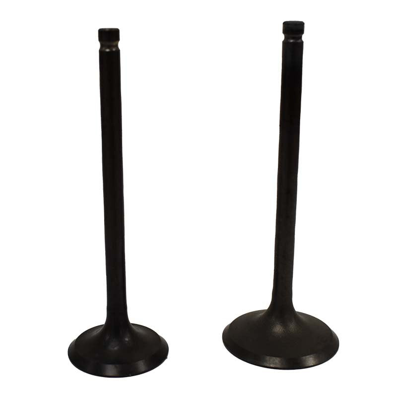 Engine Valve Pair | Suzuki | LTF250 /300 88-02