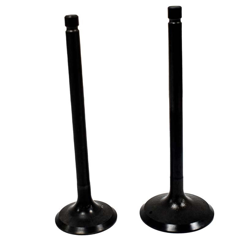 Engine Valve Pair | Yamaha | YFM200 225 250