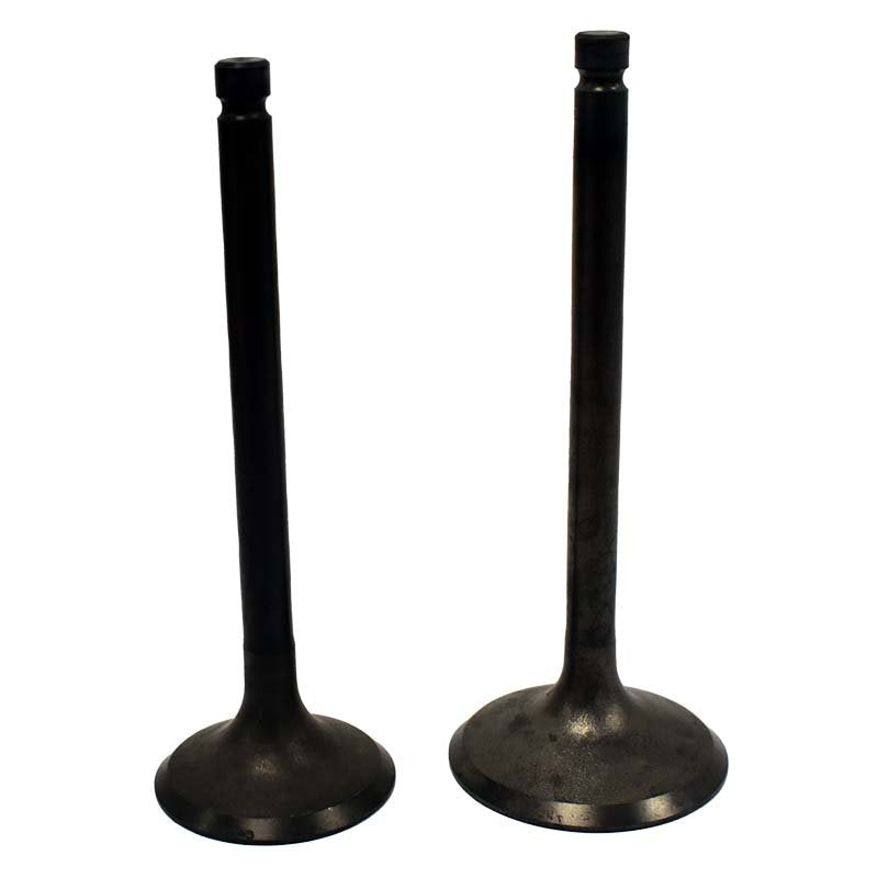 Engine Valve Pair | Yamaha | YFM350 /400