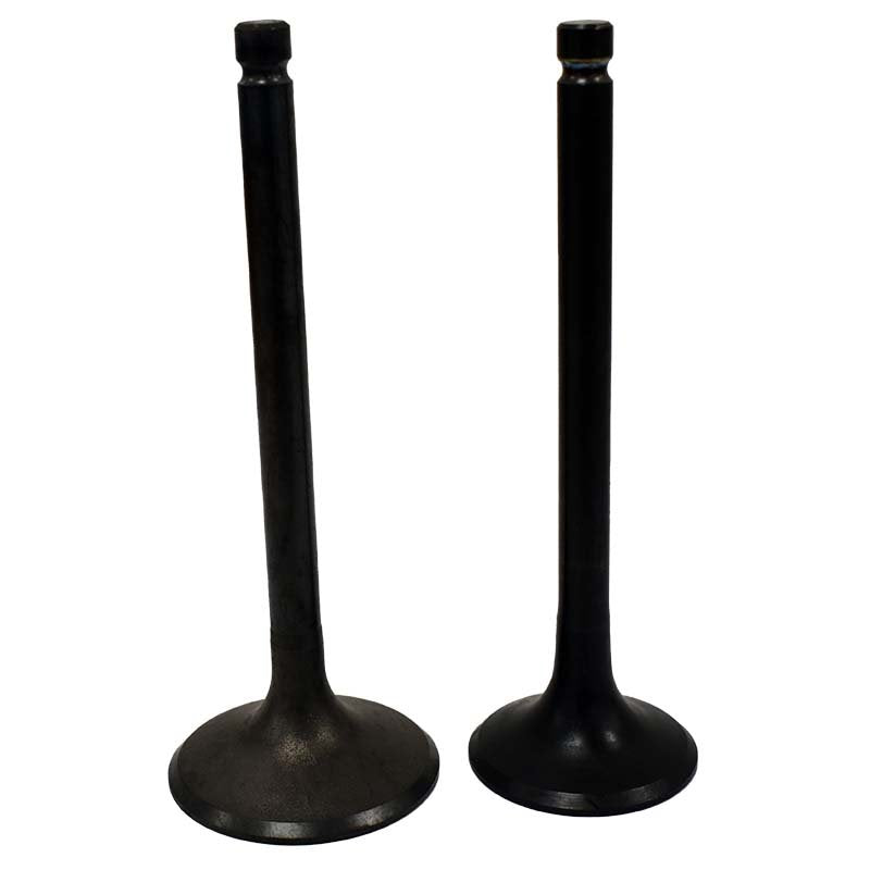 Engine Valve Pair | Yamaha | YFM350 Moto-4 /Big Bear