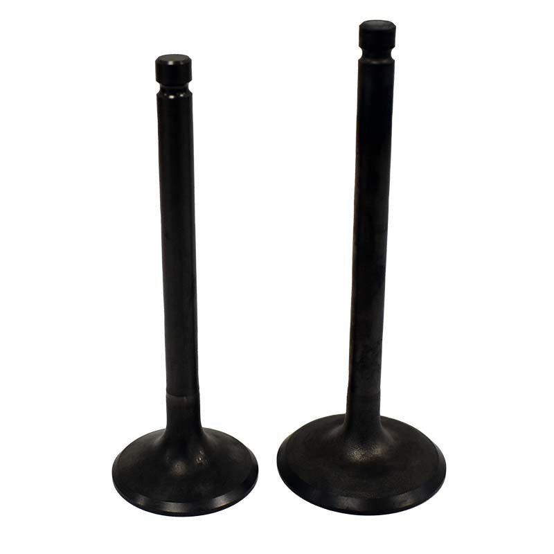 Engine Valve Pair | Yamaha | YFM600 98-01
