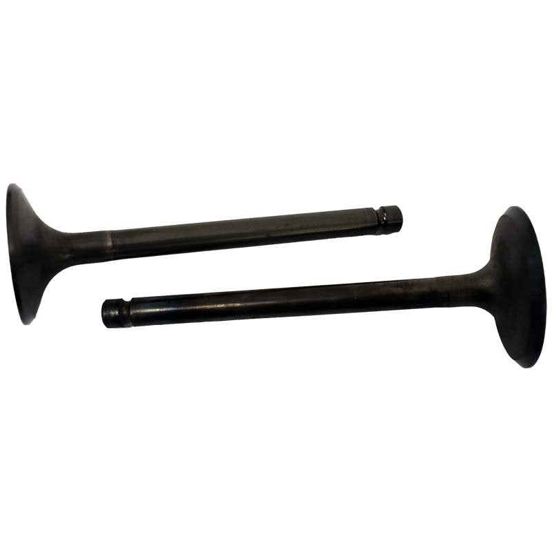 Engine Valve Pair | Yamaha | YFM600 98-01