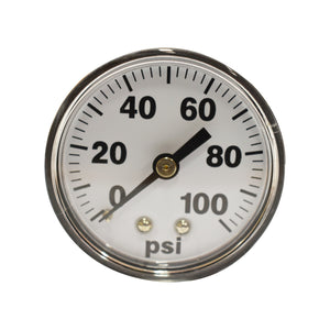FIMCO | 2 in Dry Back Mount Gauge | ABS Stem | 100psi