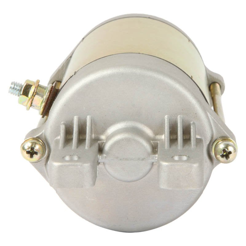 6 Pezzi Protezioni Radici In Acciaio Inox Per Piante,Cesti Per Arvicole 6 Pezzi Protezioni Radici In Acciaio Inox Per Piante,Cesti Per Arvicole