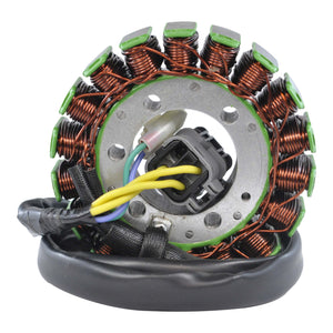 Stator For Can-Am | DS 250