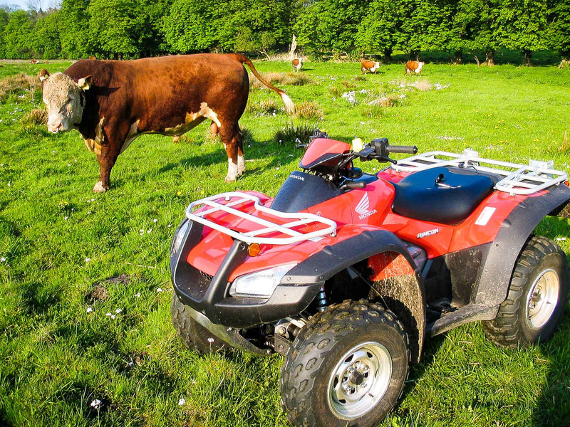 Honda TRX 680FA Rincon - Rødkilde ATV
